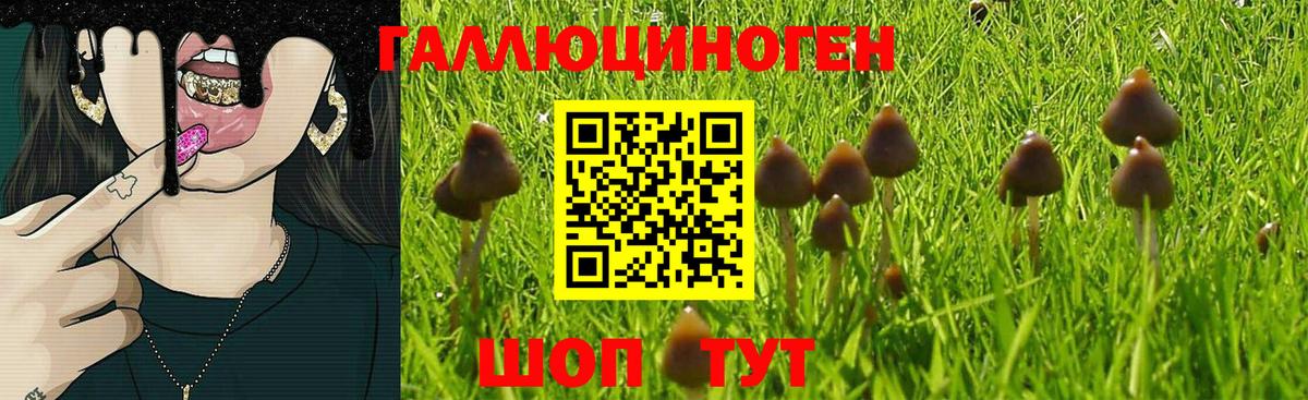 Псилоцибиновые грибы Magic Shrooms  Галлюциногенные грибы GOLDEN TEACHER  Алексеевка  Вход с VPN 