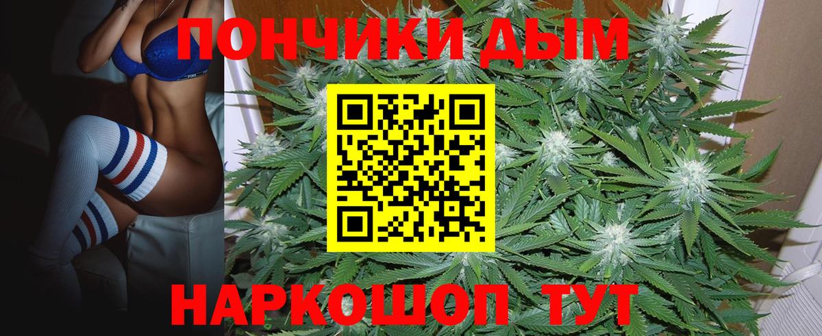 Бошки Шишки Amnesia Алексеевка